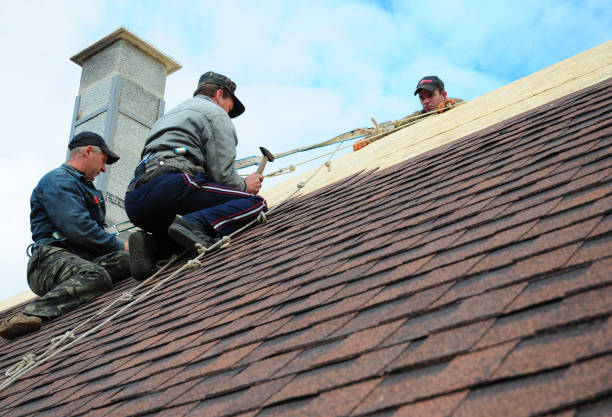 Best Roof Gutter Cleaning  in Dos Palos, CA